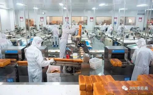 浏阳一企业自动化生产线投产，触控产品生产实现“以一当十”